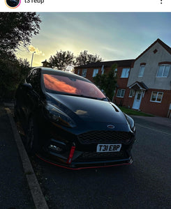 Ford Fiesta ST with some hex shaped 4D plates