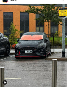 Ford Fiesta ST with some hex shaped 4D plates