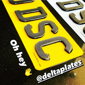 Carbon gel plates at Delta Plates