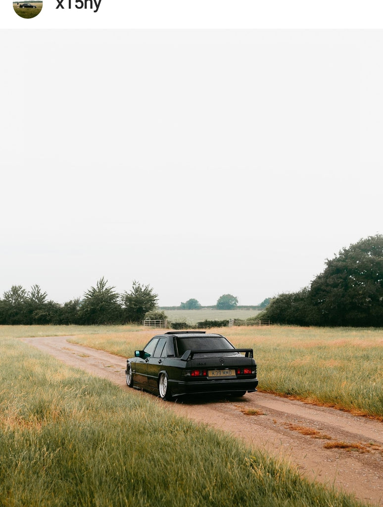 Mercedes 190e with some tinted 3D gel plates