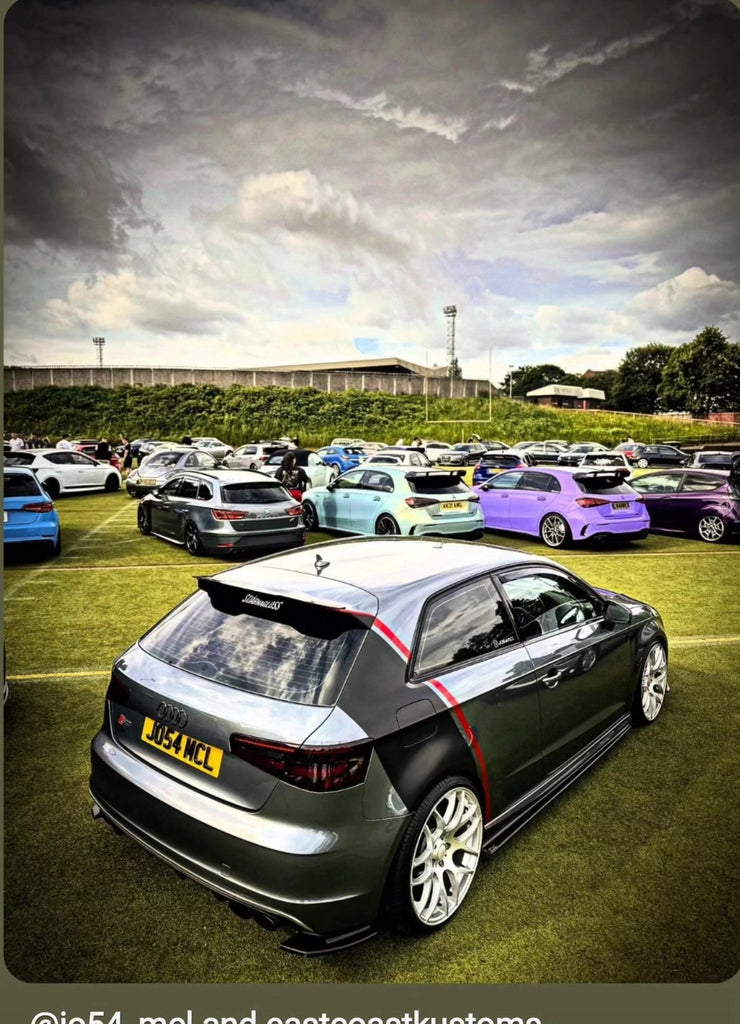 Audi S3 8V with some 4D gel plates
